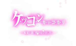 ケッコンカッコカリ (20)